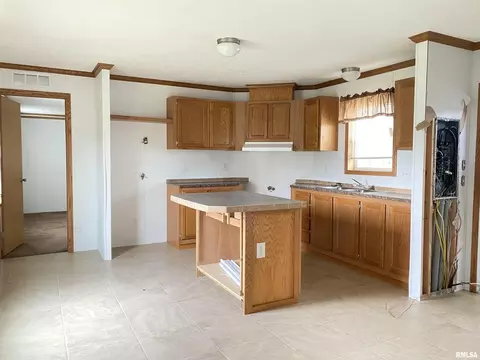 200 S Johnson St, Colp, IL 62921 photo 8