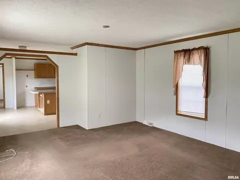 200 S Johnson St, Colp, IL 62921 photo 6