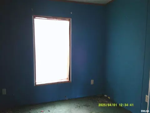 9268 Saint Jude Ave, Thomson, IL 61285 photo 28