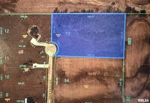 2769 Olof Krans Ave, Galva, IL 61434
