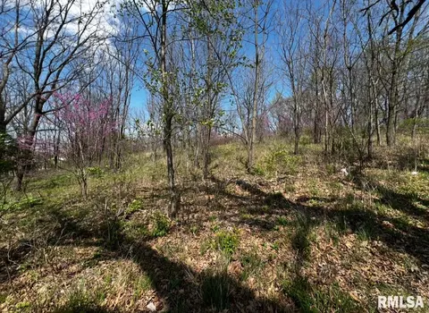 lot201 James St, Port Byron, IL 61256