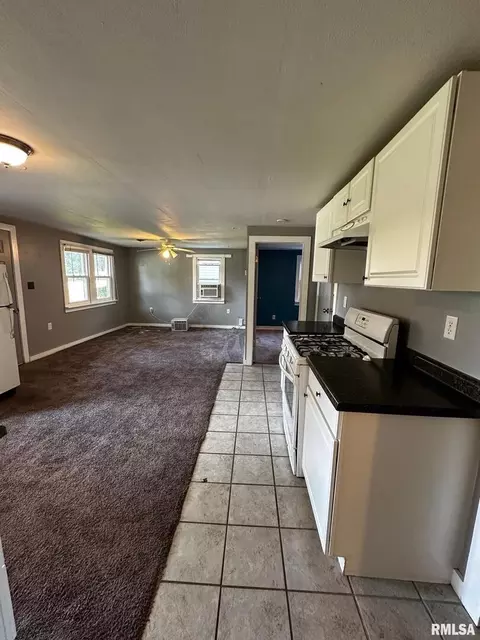Other - 920 5th St, Colona, IL 61241 photo 5 of 6