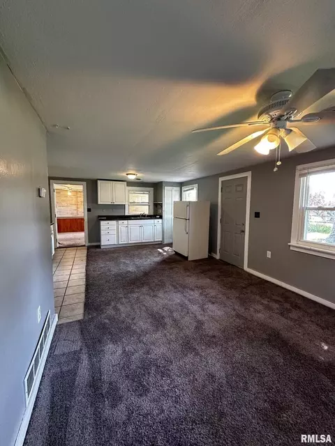 Other - 920 5th St, Colona, IL 61241 photo 6 of 6