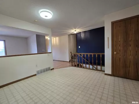 Other - 301 4th St #4, Fulton, IL 61252 photo 2 of 3