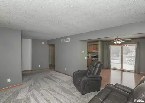 330 Sullivan Dr, Colona, IL 61241 photo 9