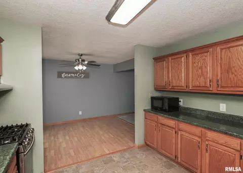 330 Sullivan Dr, Colona, IL 61241 photo 14