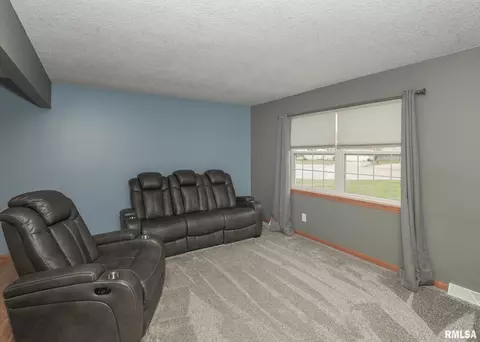 330 Sullivan Dr, Colona, IL 61241 photo 11