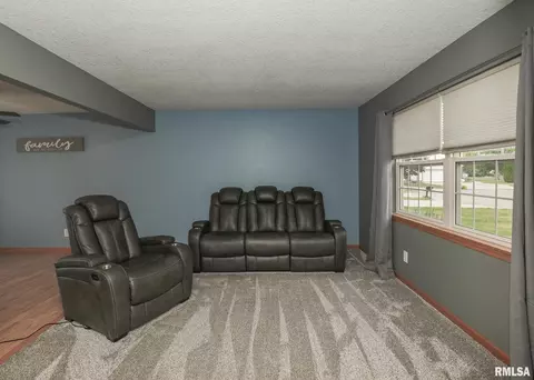 330 Sullivan Dr, Colona, IL 61241 photo 10