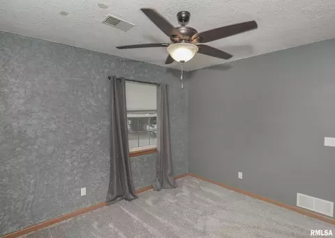 330 Sullivan Dr, Colona, IL 61241 photo 19
