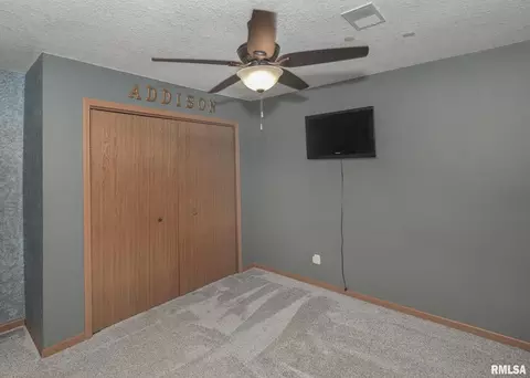 330 Sullivan Dr, Colona, IL 61241 photo 20