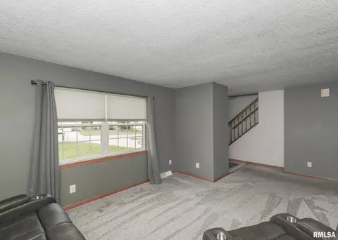 330 Sullivan Dr, Colona, IL 61241 photo 12