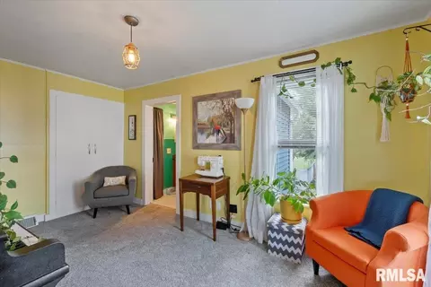 Other - 623 E Park St, Geneseo, IL 61254 photo 8 of 14