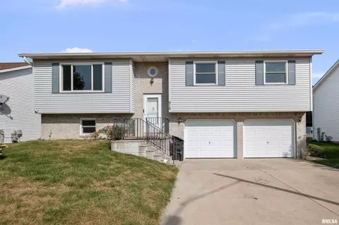 916 Ash Dr, Colona, IL 61241