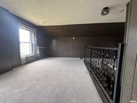 517 12th Ave, Fulton, IL 61252 photo 18