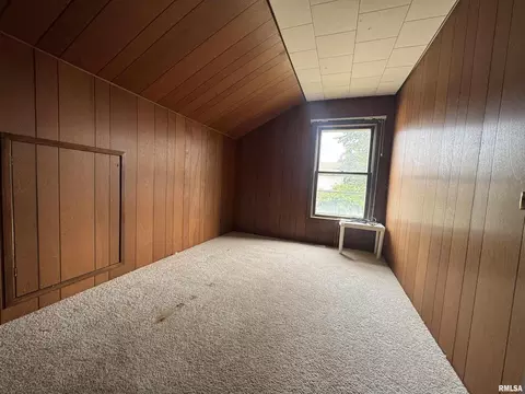 517 12th Ave, Fulton, IL 61252 photo 22