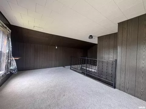 517 12th Ave, Fulton, IL 61252 photo 17