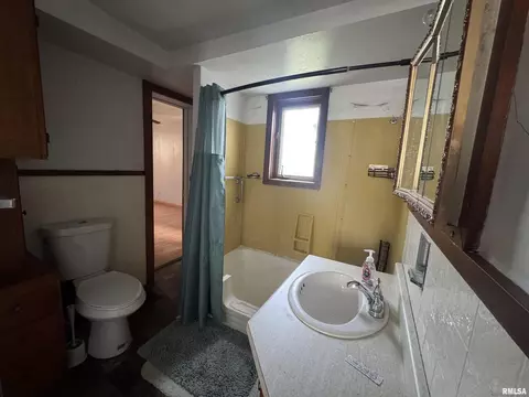 517 12th Ave, Fulton, IL 61252 photo 13