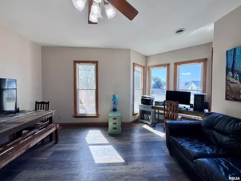 Other - 1415 4th St, Fulton, IL 61252 photo 10 of 19