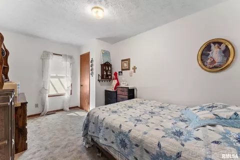 1422 Mccloud Rd, Aledo, IL 61231 photo 22