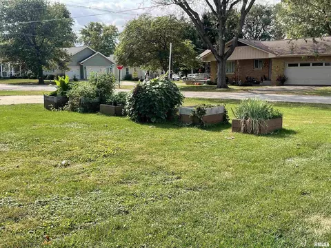 Exterior - 403 E Chestnut St, Geneseo, IL 61254 photo 5 of 5