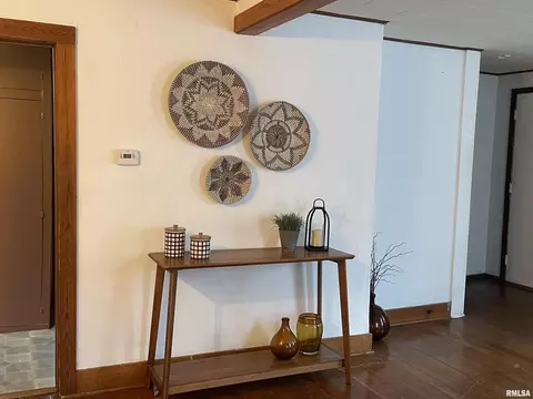 Entry Way - 403 E Chestnut St, Geneseo, IL 61254 photo 2 of 2