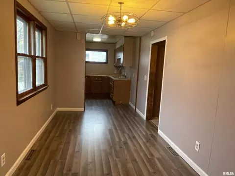 Other - 403 E Chestnut St, Geneseo, IL 61254 photo 3 of 6