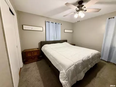 824 9th Ave, Fulton, IL 61252 photo 16