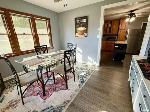 824 9th Ave, Fulton, IL 61252 photo 14