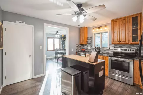 824 9th Ave, Fulton, IL 61252 photo 8
