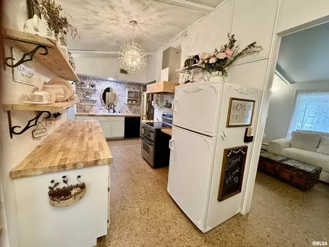 1401 12th Ave, Viola, IL 61486 photo 21