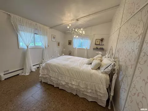1401 12th Ave, Viola, IL 61486 photo 34