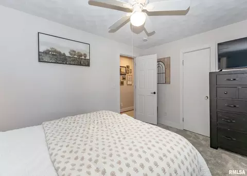 611 E Main St, Geneseo, IL 61254 photo 15