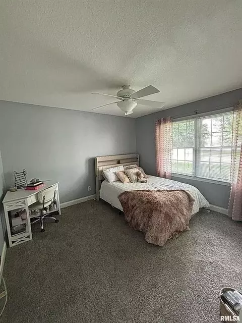 925 S 3rd St, Eldridge, IA 52748 photo 7