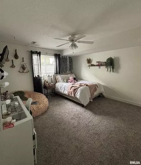 925 S 3rd St, Eldridge, IA 52748 photo 10