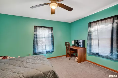 Other - 919 9th Ave, Fulton, IL 61252 photo 15 of 15