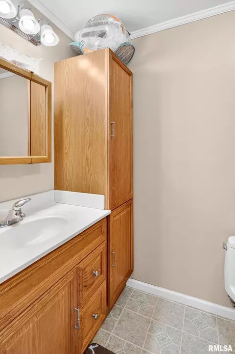 Bath - 919 9th Ave, Fulton, IL 61252 photo 1 of 9
