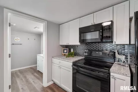Other - 321 2nd Ave E, Milan, IL 61264 photo 6 of 12