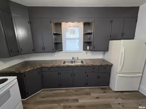 413 12th Ave, Fulton, IL 61252 photo 9