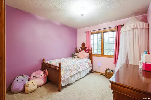 1205 28th Ave, Silvis, IL 61282 photo 12