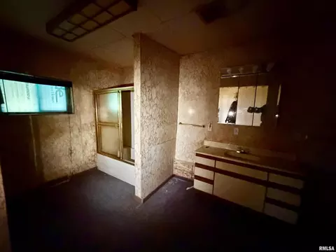 301 11th St, Keithsburg, IL 61442 photo 9