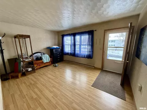 331 6th St, Colona, IL 61241 photo 3