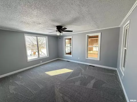 405 234th St, Aledo, IL 61231 photo 24