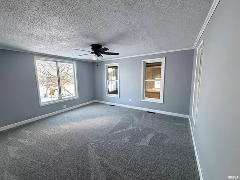 405 234th St, Aledo, IL 61231 photo 23