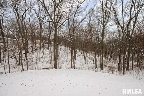 107 Orchard Ct, Silvis, IL 61282 photo 35