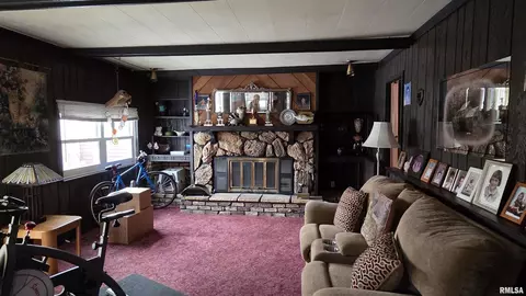 Other - 447 7th St Ct E Ct E, Milan, IL 61264 photo 4 of 6