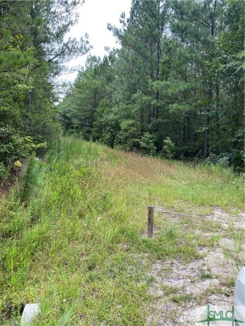 445 Brogdon Rd, Guyton, GA 31312 photo 1