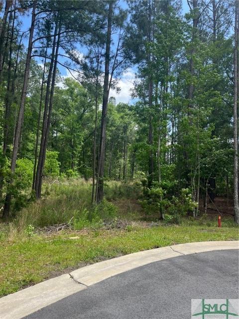 6 Oak Leaf Pl, Pooler, GA 31322 photo 1
