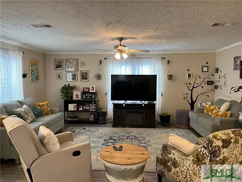 252 Shell Cracker Dr, Fleming, GA 31309 photo 1