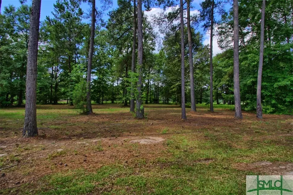  00 Bub Ln, Ellabell, GA 31308 photo 1