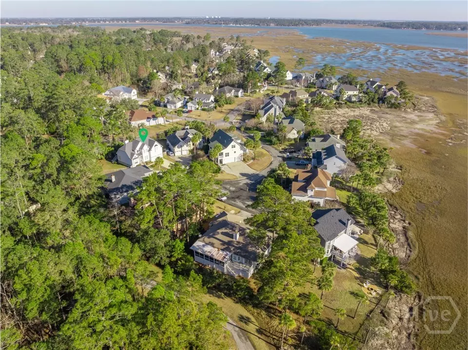 View/Area - 5 Settlers Pt, Savannah, GA 31406 photo 2 of 2